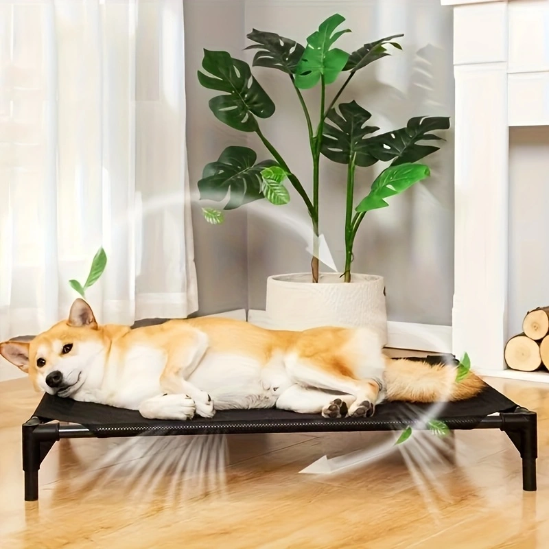Cama para perros elevada con e - Outdoor Camping Couch reseña y precio