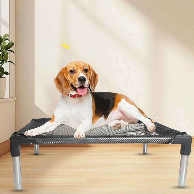 Cama para perros elevada con e - Outdoor Camping Couch reseña y precio